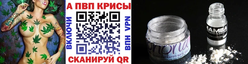 где найти   Строитель  A PVP крисы CK 