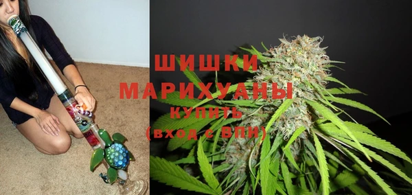 шишки Сафоново